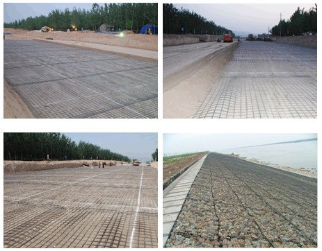 Do polímero linear Uniaxial de Geogrid da malha da grade solo protetor 25KNM